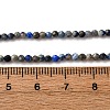 Natural Lapis Lazuli Beads Strands G-L629-B01-2mm-03-5
