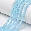 Glass Beads Strands EGLA-A034-J10mm-D04-1