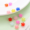 Transparent Acrylic Beads MACR-S373-26E-6