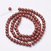 Natural Red Jasper Round Beads Strands GSR4mmC011-3