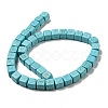 Dyed Synthetic Turquoise Beads Strands G-G075-B02-01-2