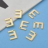 304 Stainless Steel Charms X-STAS-P141-E-6