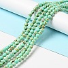 Synthetic Turquoise Beads Strands TURQ-H038-6mm-XXS10-2
