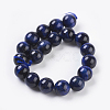 Natural Blue Tiger Eye Beads Strands G-G099-10mm-13-2