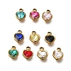 304 Stainless Steel with Rhinestone Pendants STAS-Q346-01G-1