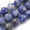 Natural Brazil Blue Spot Jasper Beads Strands G-S259-36-12mm-1