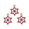 Independence Day Alloy Enamel Pendants ENAM-K067-36-2