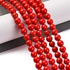 Synthetic Turquoise Beads Strands G-L605-G01-01B-2