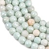 Natural Amazonite Beads Strands G-O164-02-6mm-7