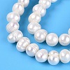 Natural Cultured Freshwater Pearl Beads Strands PEAR-N013-06G-02-4
