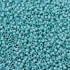 MIYUKI Delica Beads SEED-JP0008-DB0878-3