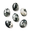 Natural Tree Agate Cabochons G-G145-01B-54-1