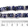 Natural Sodalite Beads Strands G-Q167-B06-01-5