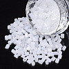 6/0 Two Cut Glass Seed Beads SEED-S033-07B-03-1