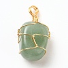 Natural Gemstone Pendants PALLOY-JF00507-2