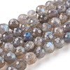 Natural Labradorite Beads Strands G-O176-04B-1