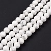 Natural Howlite Beads Strands G-E571-29B-3