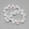 Natural Rose Quartz Gemstone Beads Strands G-T005-18-2