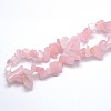 Natural Rose Quartz Beads Strands G-O049-C-60-3