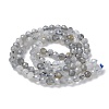 Natural Labradorite Beads Strands G-L651-C11-4mm-3