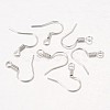 Iron Earring Hooks X-E133-NF-2