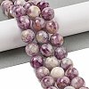 Natural Lepidolite/Purple Mica Stone Beads Strands G-G160-A01-03-2