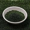 MIYUKI Round Rocailles Beads X-SEED-G009-RR0306-4