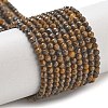 Natural Tiger Iron Beads Strands G-B120-A01-01-2