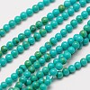 Imported Synthetic Turquoise Bead Strands G-A130-2mm-L05-1-2