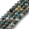 Round Natural Apatite Beads Strands G-K068-02-5mm-1