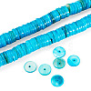 1 Strand Natural Freshwater Shell Beads Strands SHEL-TA0001-35D-2