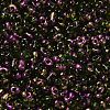 Spray Painted Glass Seed Beads SEED-F005-07A-05-3