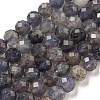 Natural Iolite Beads Strands G-J400-E05-02A-1