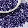 MIYUKI Round Rocailles Beads X-SEED-G008-RR0432-1