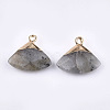 Electroplate Natural Labradorite Pendants G-T112-04A-2