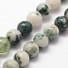 Natural Tree Agate Beads Strands G-N0192-01-3mm-3