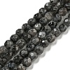 Natural Larvikite Beads Strands G-E571-A09-04-1