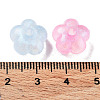 Transparent Acrylic Beads OACR-Z013-18-4