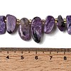Natural Charoite Beads Strands G-P604-A29-01-5