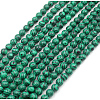 Imported Synthetic Malachite Round Beads Strands G-A130-2mm-J01-2