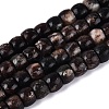 Natural Biotite Beads Strands G-Q616-02A-11-2