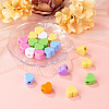 Acrylic European Beads MACR-TAC0001-28A-5
