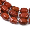 Natural Red Jasper Beads Strands G-Z147-E03-01-4