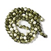 Baking Paint Glass Bead Strands GLAA-H031-01C-14-3