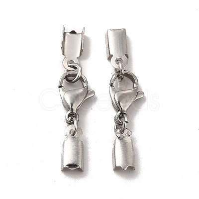 Tarnish Resistant 304 Stainless Steel Lobster Claw Clasps with Cord Ends STAS-H179-02P-1