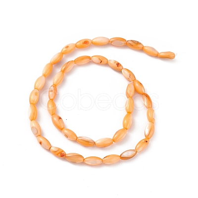 Natural Freshwater Shell Dyed Beads Strands SHEL-M018-13-08-1