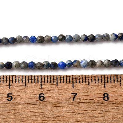 Natural Lapis Lazuli Beads Strands G-L629-B01-2mm-03-1