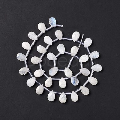 Natural Rainbow Moonstone Beads Strands G-G805-B16-1