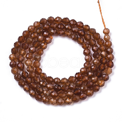 Natural Orange Garnet Beads Strands G-R462-029B-1