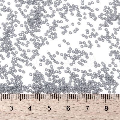 MIYUKI Round Rocailles Beads X-SEED-G009-RR0498-1